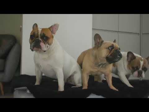 Kirsty and Spencer Buck talk about their Excellence Living extension and renovation